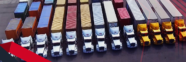 Transporte de contenedores y embarques desde un pallet hasta unidades de capacidad completa, en camioneta, Torton, Rabon o tráiler